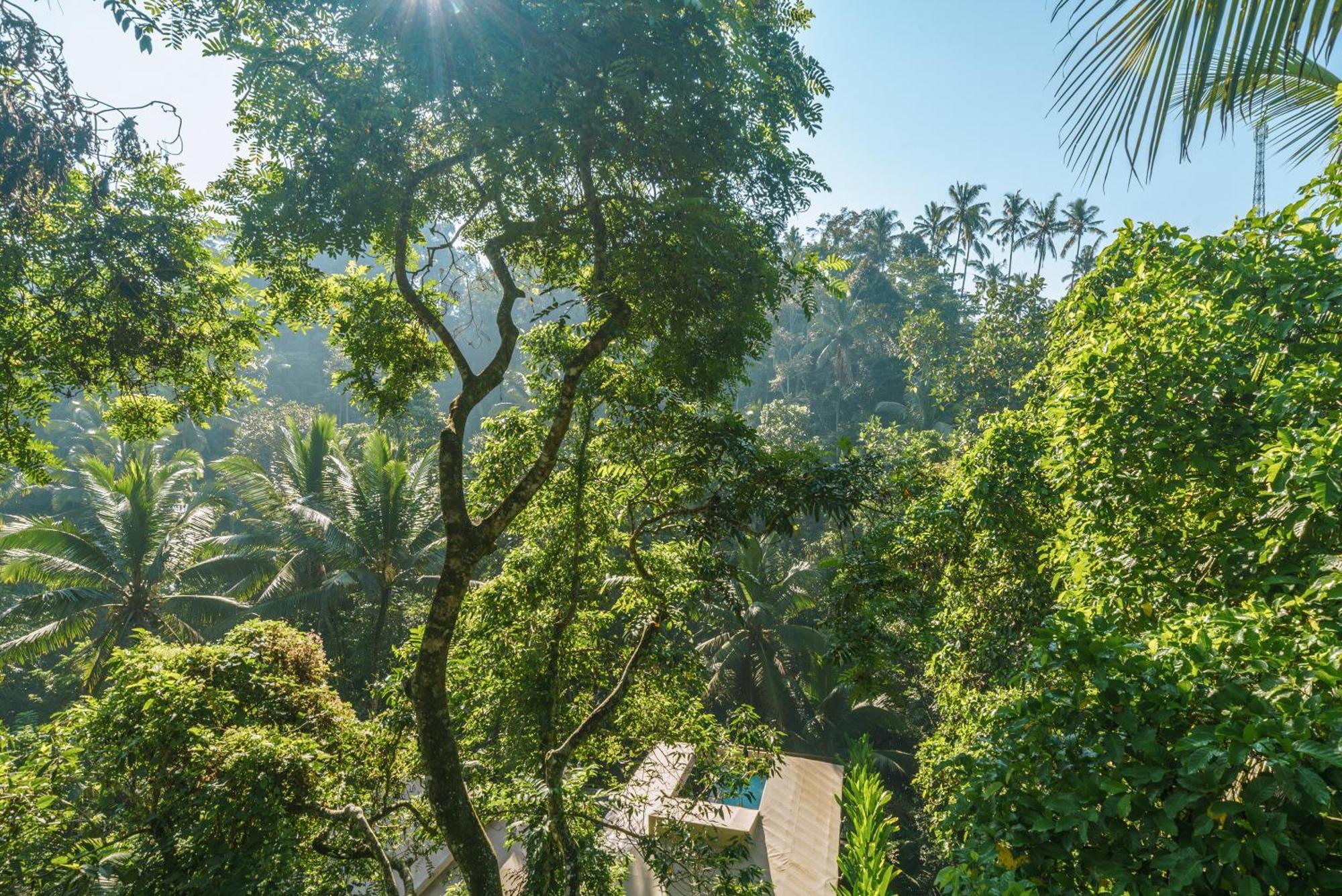 K Club Ubud Zimmer foto